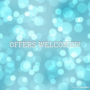 Don’t like the price. Like the item? Offer button!